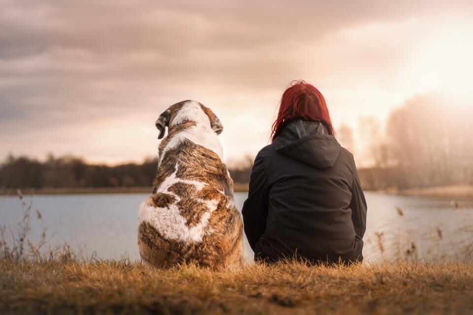 Für Hund und Herrchen: Woran Sie eine gute Hundeversicherung erkennen