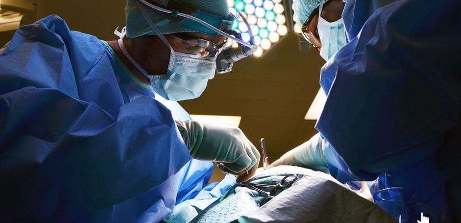 Guter Reisekrankenschutz mit sinnvollem Rücktransport